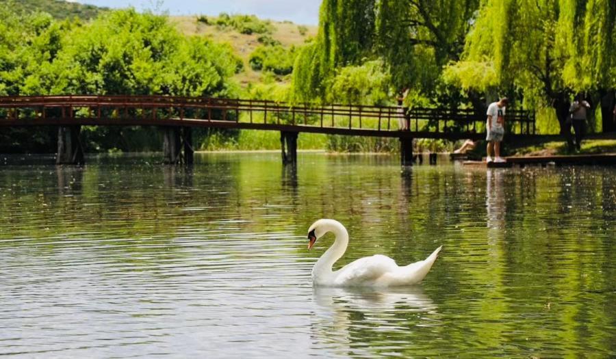 Charming House Apartment Pogradec Ngoại thất bức ảnh