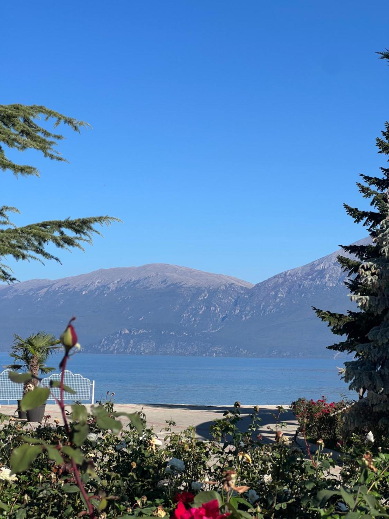 Charming House Apartment Pogradec Ngoại thất bức ảnh